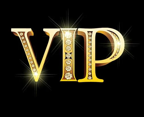 vip Automotive Interior Accessories