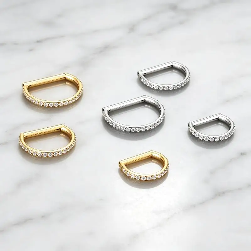 D Shape Hinged Segment Nose Hoop 16G F136 Titanium Full CZ Paved Clicker Hypoallergenic for Men Daily Wear