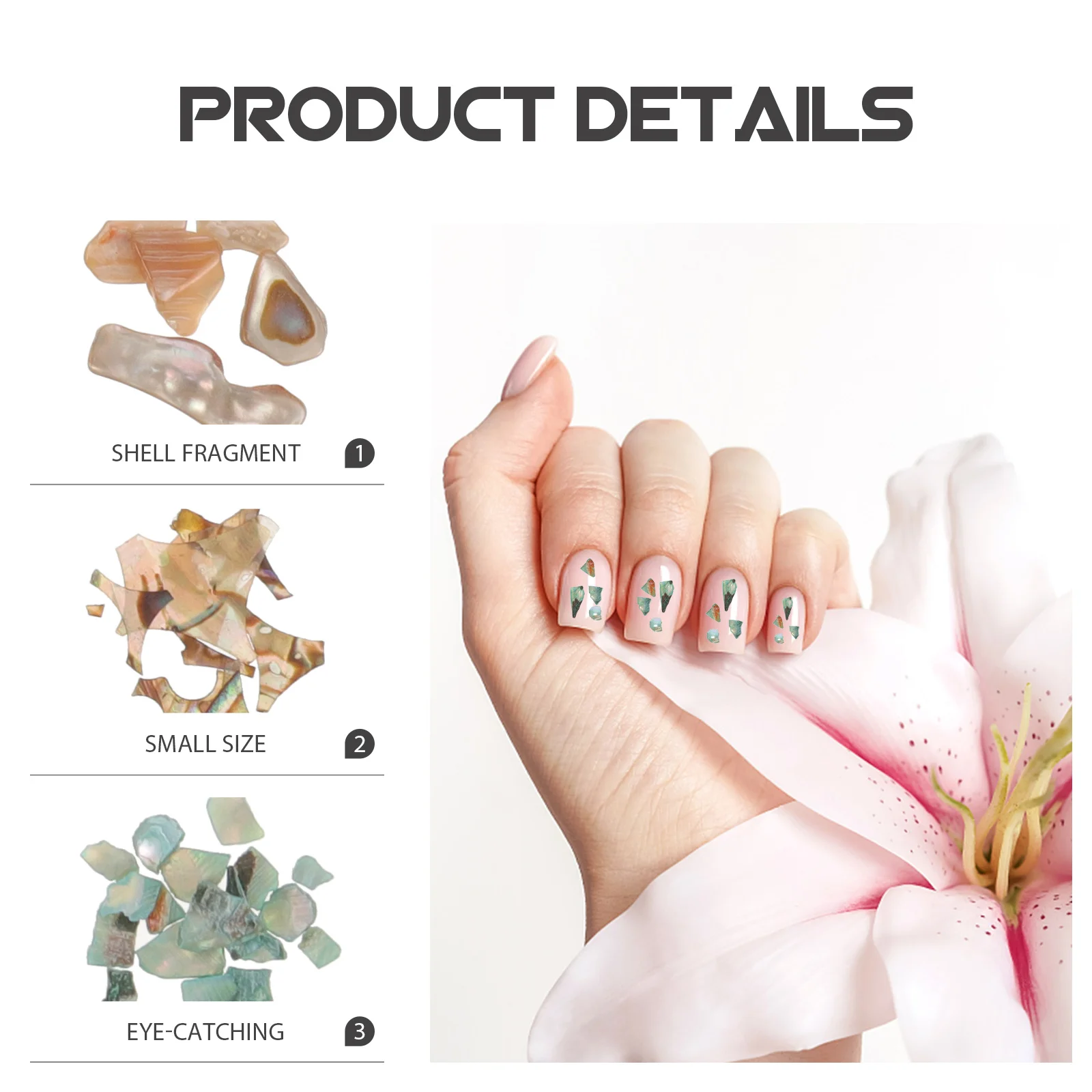

1 Box Nail Art Shell Charms Irregular Seashell Slices Colorful Nail Design Accessories for Party Manicure Decorations