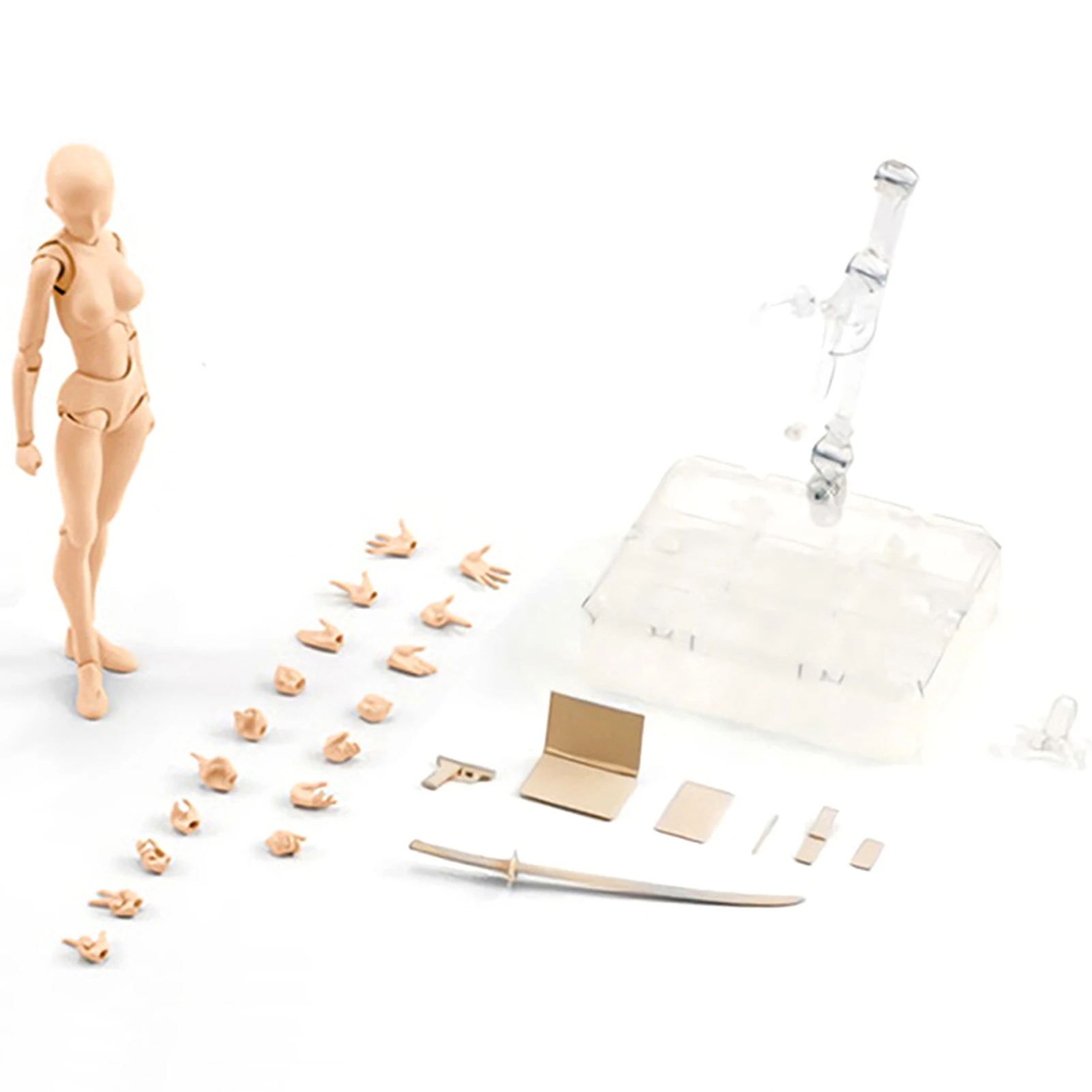 

Body Kun DX Set Body Kun And Body Chan Set PVC Action Figures Drawing Mannequin For Artists Model Drawing For SHF S H Figuarts