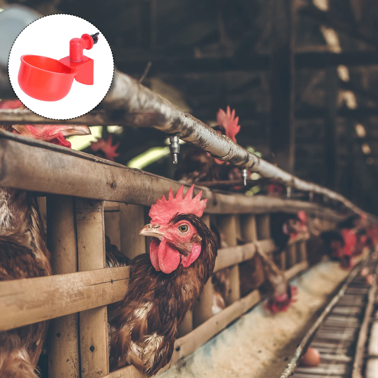 

2Pcs Poultry Automatic Drinking Bowl Red Long Life Chicken Water Dispenser Large Output Fall Resistant Easy Use Safe Material