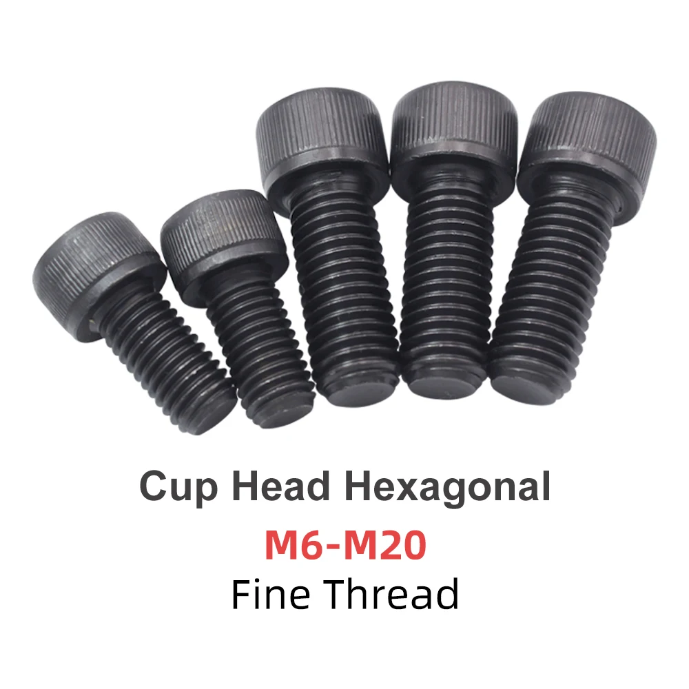 

Hexagon Hex Socket Cup Head Screw Bolts M6 M8 M10 M14 M16 M18 M20 Blackening Alloy Steel Fine Thread Screws Din 912 Grade 12.9