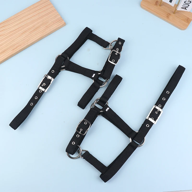 قابل للتعديل النايلون حزام الفروسية الغربية الحصان الرسن ركوب الخيل ارتداء الأسود XS S M L XL مريح الرسن