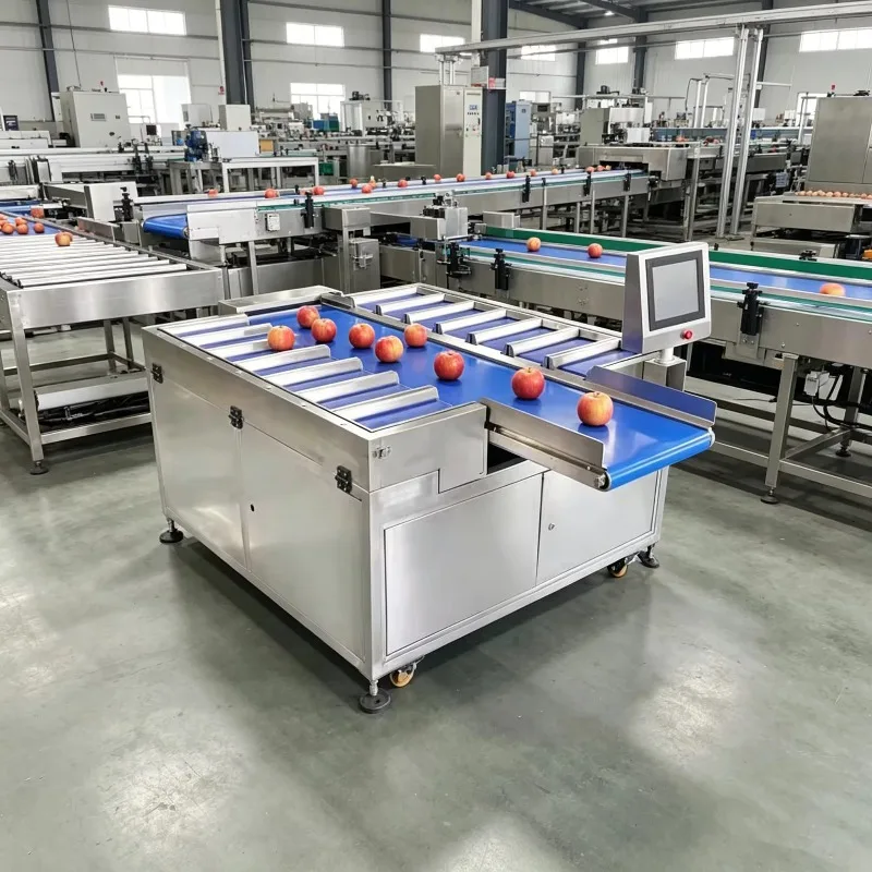 Multihead Weigher Durian Fruit Weight Batching Machine High Precision Combination 10g 20g 50g 100g 500g Customized