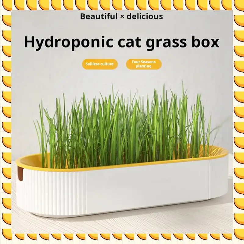 BAAU Hydroponic Cat Grass Box Cat Snack Hydroponic Soilless Planting Cat Grass Pot