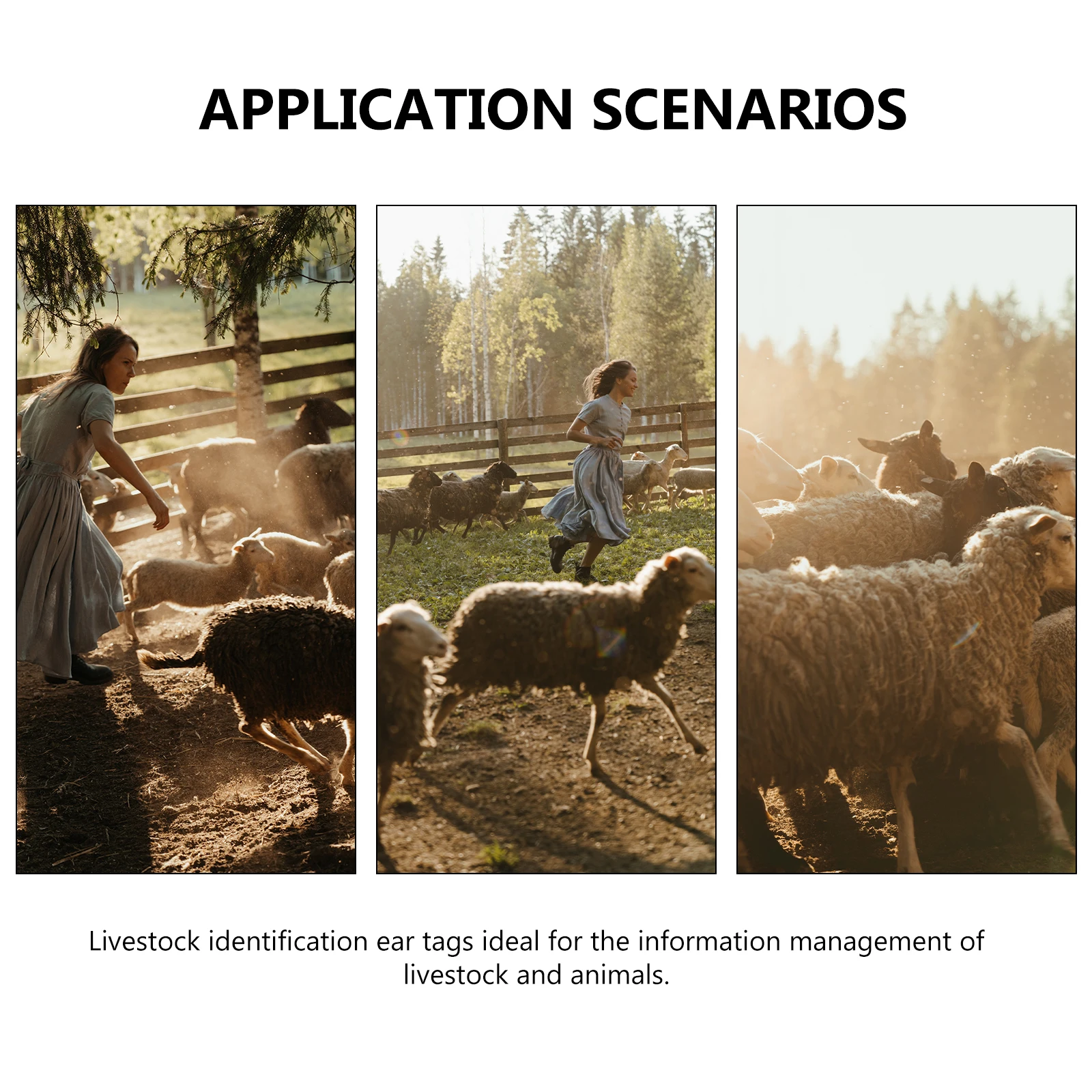 

100pcs TPU Livestock ID Tags for Cattle Sheep Numbered Ear Marking Tags Lightweight Long Use Waterproof AntiUV