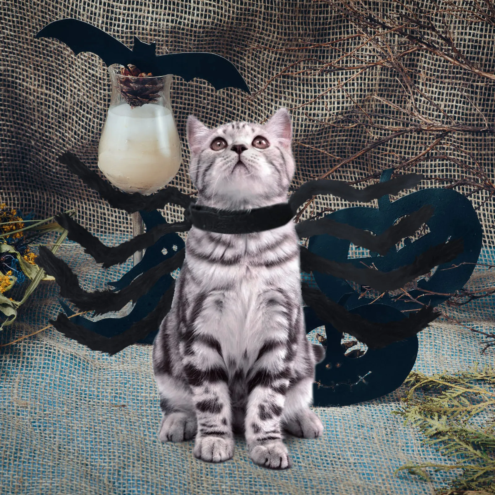 

Halloween Pet Spider Costume Creative Small Spider Dress Up for Cat Dog Festival Funny Clothes Dog Costume Supplies