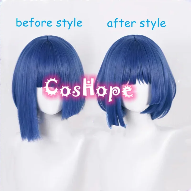 Perruque Cosplay Anime CHRISTada Ryo, Perruques Cosplay, Perruques Synthétiques, Degré de Chaleur, Bleu