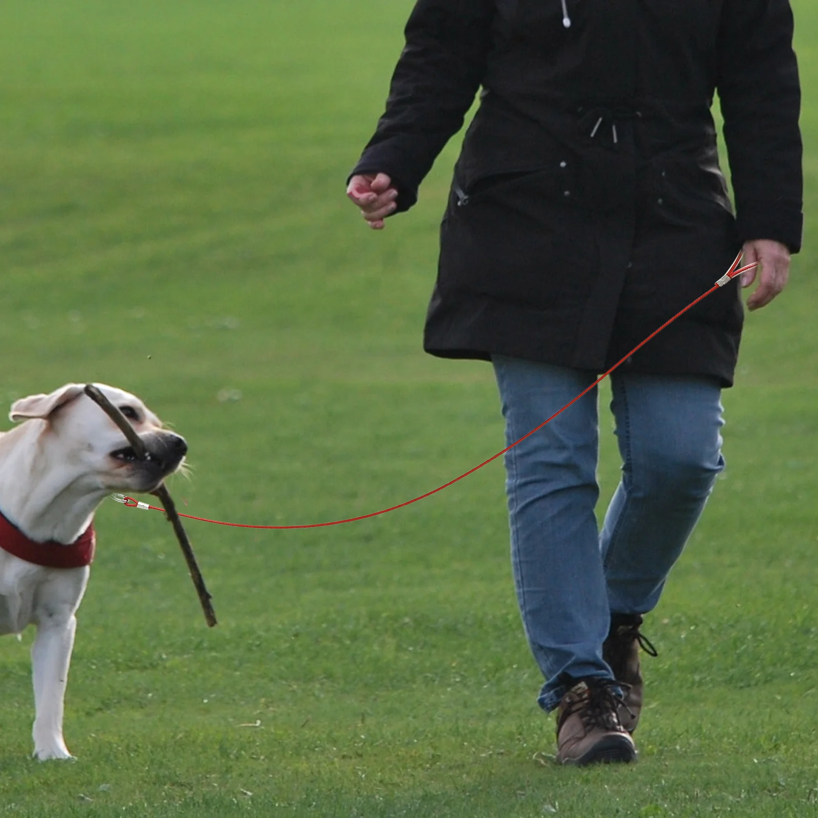 

Wear Resistant Dog Leash Steel Wire Lightweight Chew Proof Safety Pet Chain for Walking Training Outdoor Activities