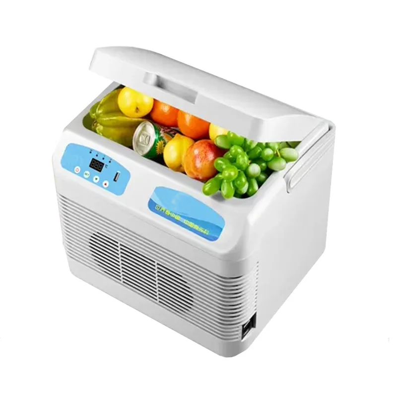 

12V 100-240V cooler for camping car mini fridge cooler box