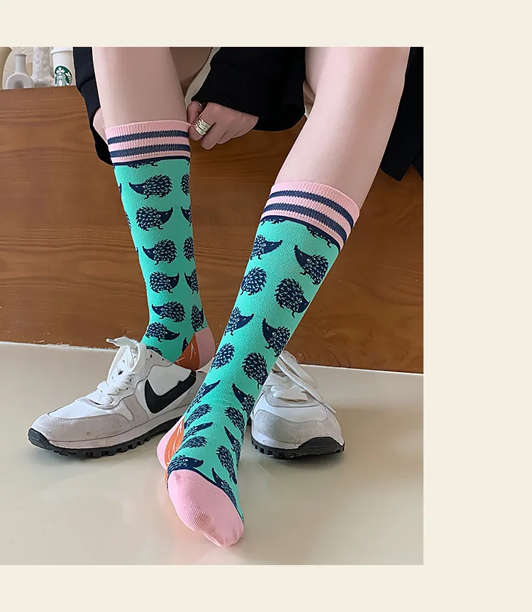 Fashion Colorful Spring Autumn Stocking Women's Socks Plant Hedgehog Slothsi Cotton Socks Personality Straight Trendy Socks