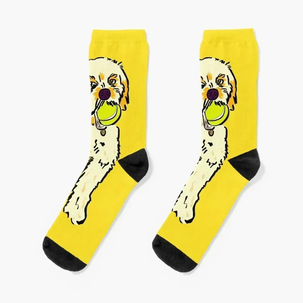 

Ralph the Cavapoo Socks floral designer brand golf Lots Socks Women Men's