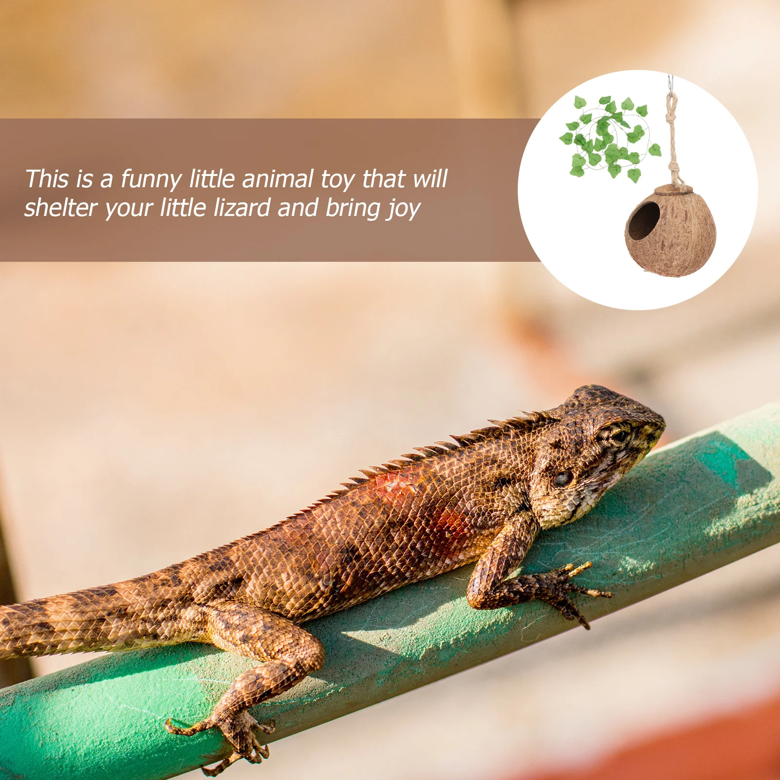 

1Set Lizard Nest Reptiles Tree Sleeping Small Pet Villa Safe Material Health Stimulus Activity Shelter Fun Experience Gift