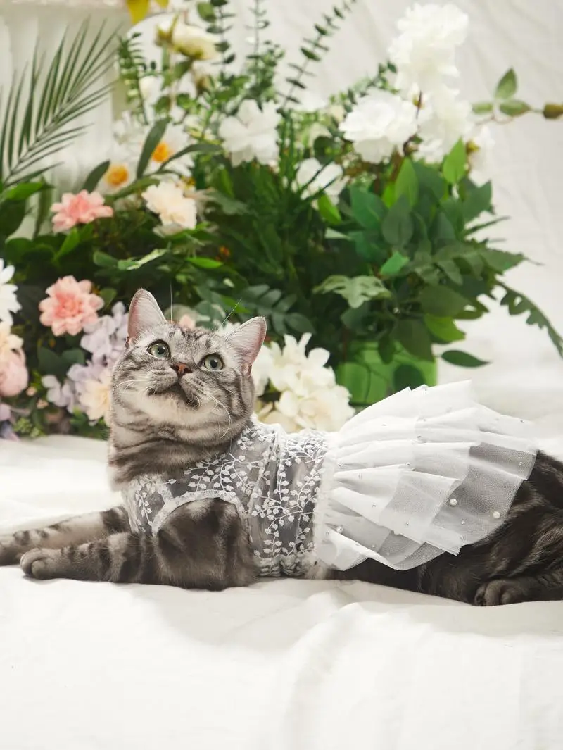 Pet Clothes Dog Wedding Party Prom Party Princess Dresses for Small Dogs Cat Costume White Mesh Dress Pet Supplies