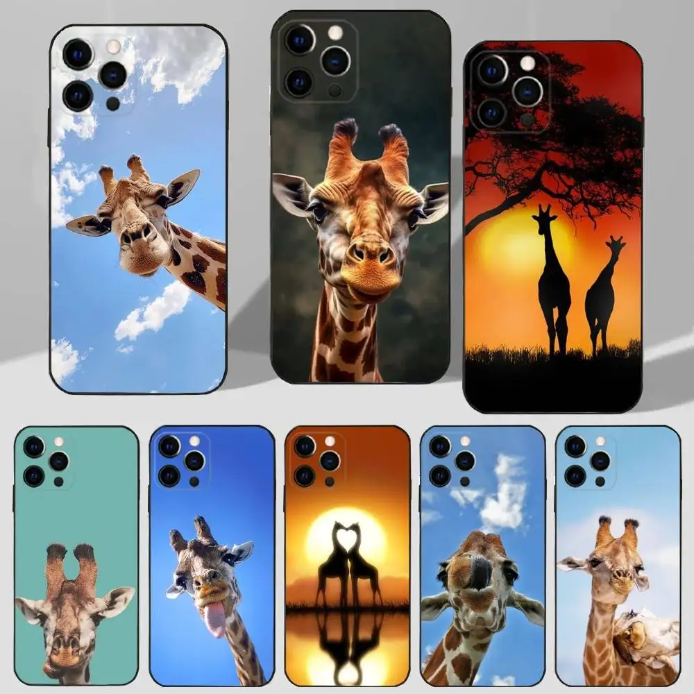 

Animal Giraffe Cute Funny Phone Case For iPhone 16,15,17,14,13,12,11 Plus,Pro Max,XS,X,XR,SE,Mini,8,7 Soft Silicone Black Cover