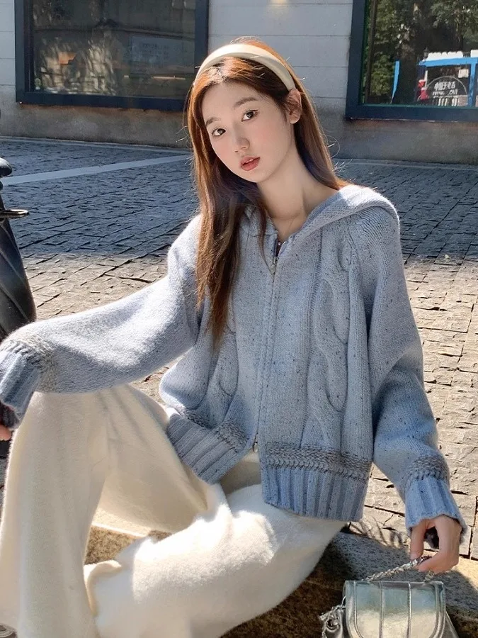 

Корейская утепленная толстовка на молнии для женщин: новая зимняя коллекция, элитный свободный мягкий вязаный кардиган-накидка