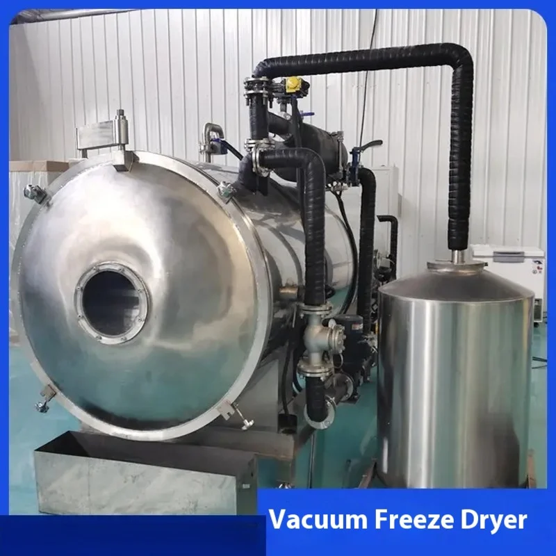 Small Vacuum Freeze Drying Machine FD Low Temperature Freeze Drying Direct Supply Experimental Type True Air freeze dryer