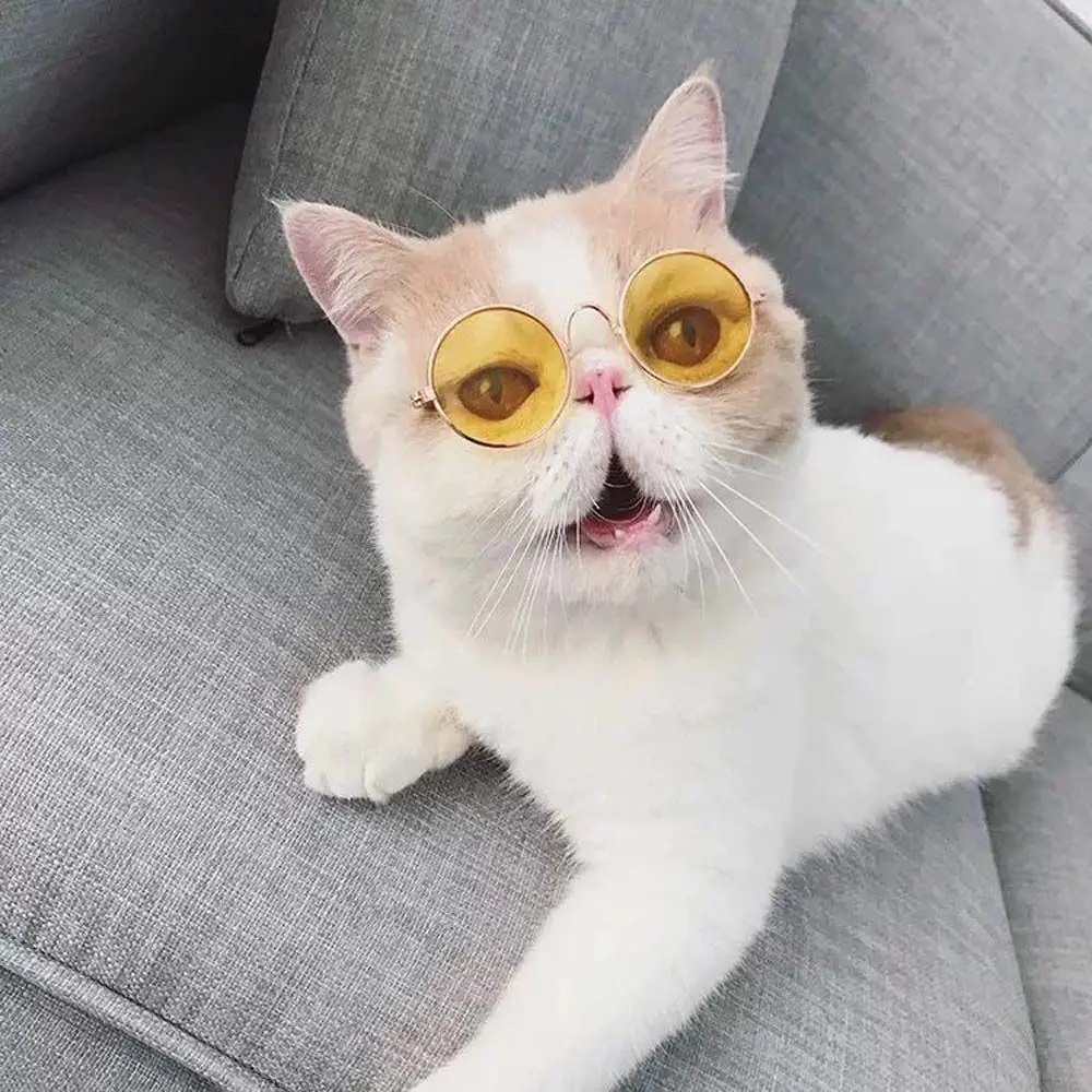 

Vintage Funny For Small Dog Cat Lovely Decoration Cat Accessories Sunglasses Photos Props Pet Glasses Eye Wear