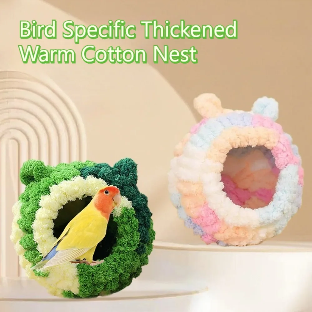 Thumbnail 2 - #62 Compare Birdhouses Before You Buy