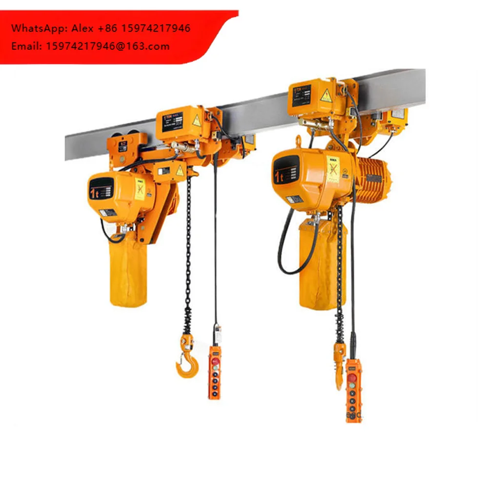Custom European Safety Standard Single Chain Electric Hoist Crane Double Chain Electric Hoist