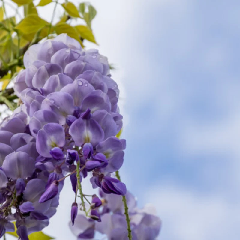 

Металлический обновленный винтовой ящик для инструментов для модели MN 1/12 MN128 MN86 G500, детали радиоуправляемого автомобиля