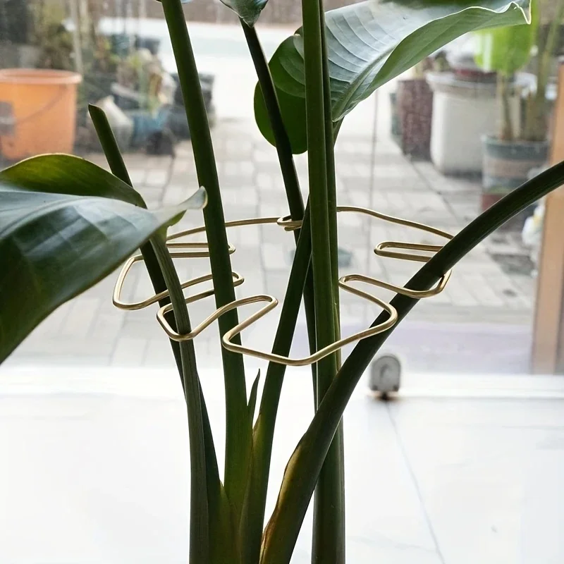 Soporte para plantas colgante grande, ganchos de hierro, adecuado para decoración de macetas, uso interior y exterior
