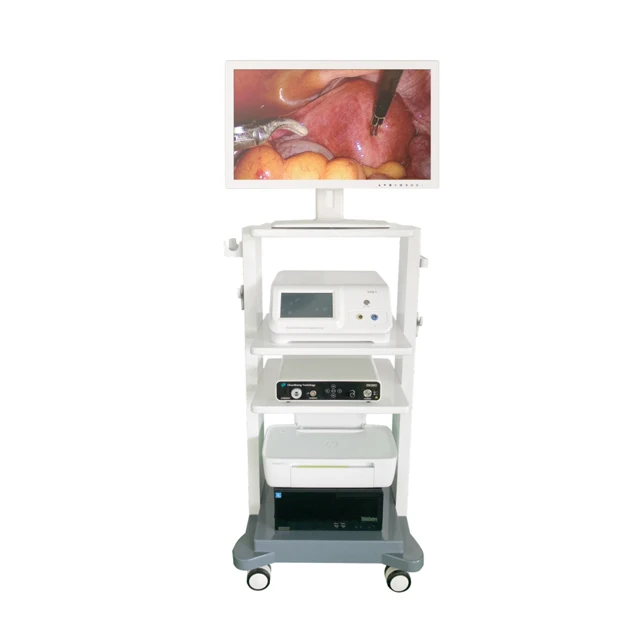 1080P 4K HD Endoscopy Machine Price Medical Endoscope System Endoscopy System HD Endoscope