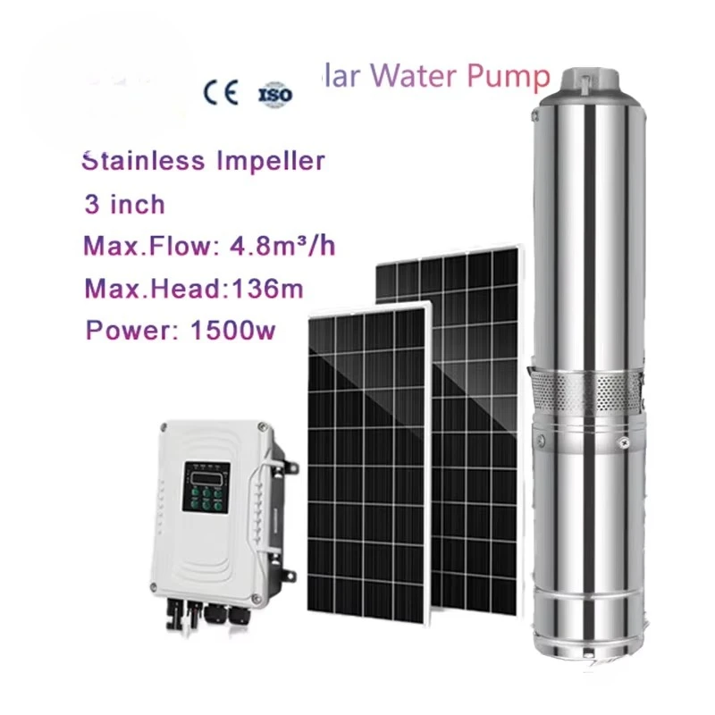 

Steel Impeller OEM/ODM Customizable Solar Water Pump for Agriculture Irrigation Low Pressure DC Motor with Stainless