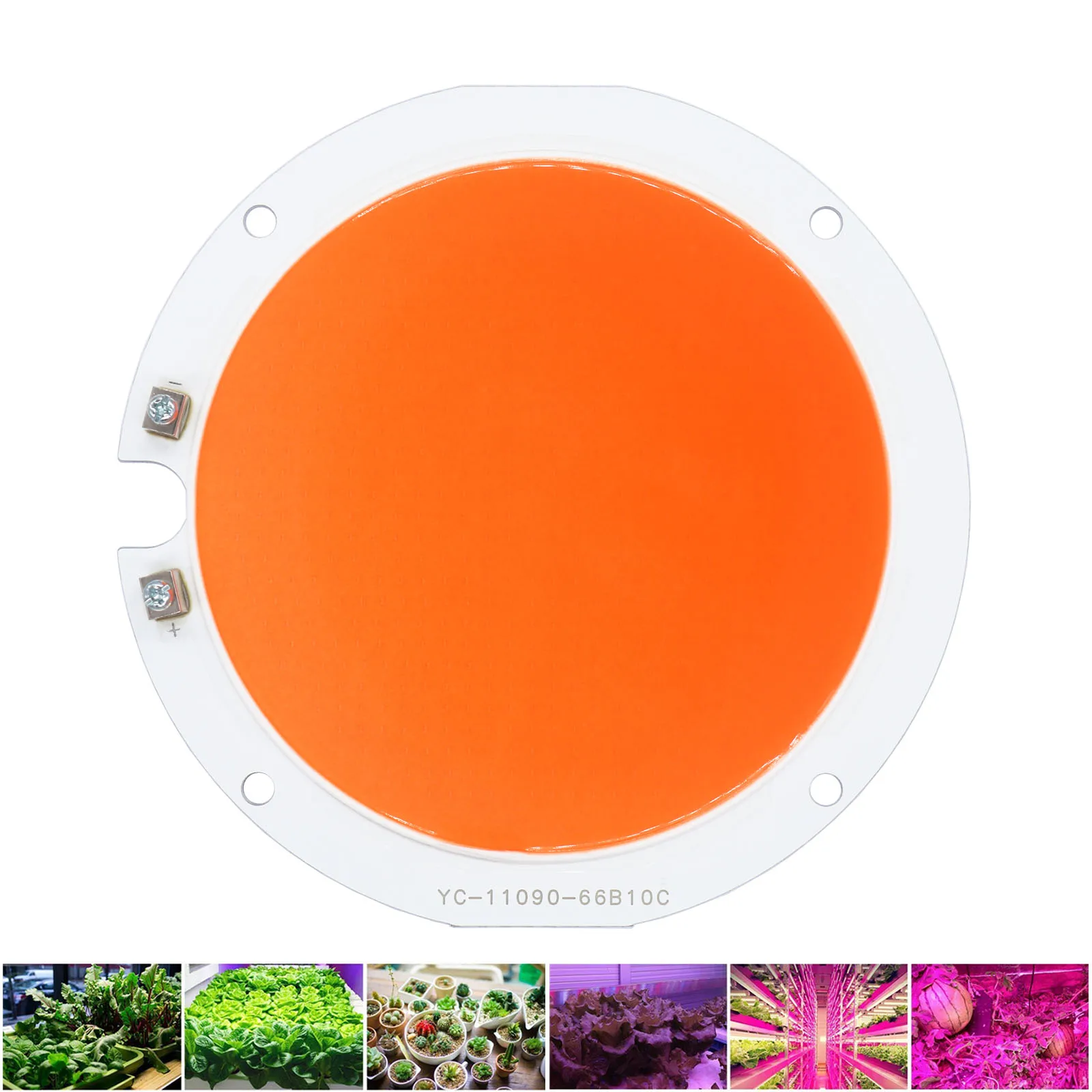 COB LED Chip 300W 500W High Power LED Plant Grow Light Full Spectrum Lamp Bead DC30-34V For Plant Grow Light LED Floodlight Bulb