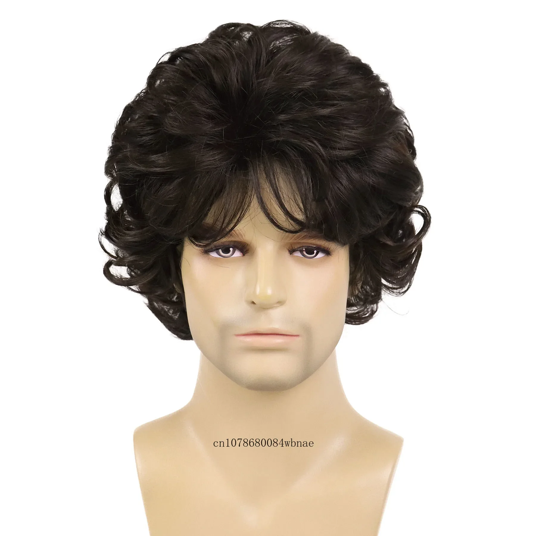 Synthetic Fiber Short Curly Wig for Men Male Dark Brown Hair Replacement Wigs Fluffy Hairstyles Daily Use Costume Party Cosplay