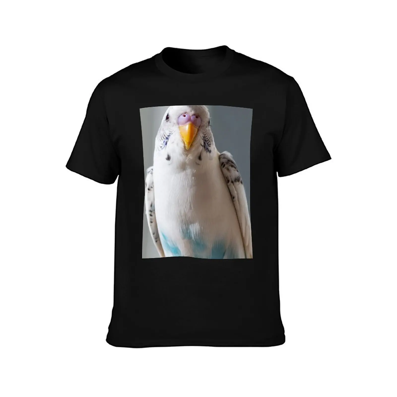 White and Blue Parakeet T-Shirt Simple Solid Color Crew Neck Tee T-Shirt
