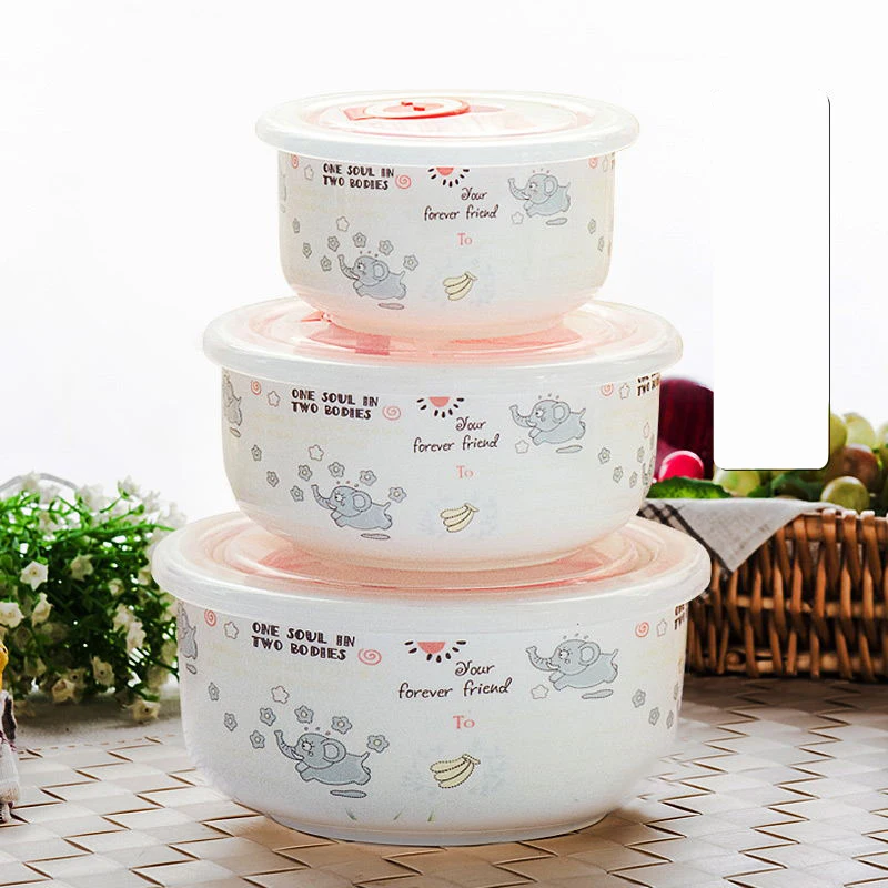 

Three-piece Set, Bone China Food Container, Ceramic Salad Bowl, Lunch Box , Kitchen Bowl Sets, Porcelain Mixing