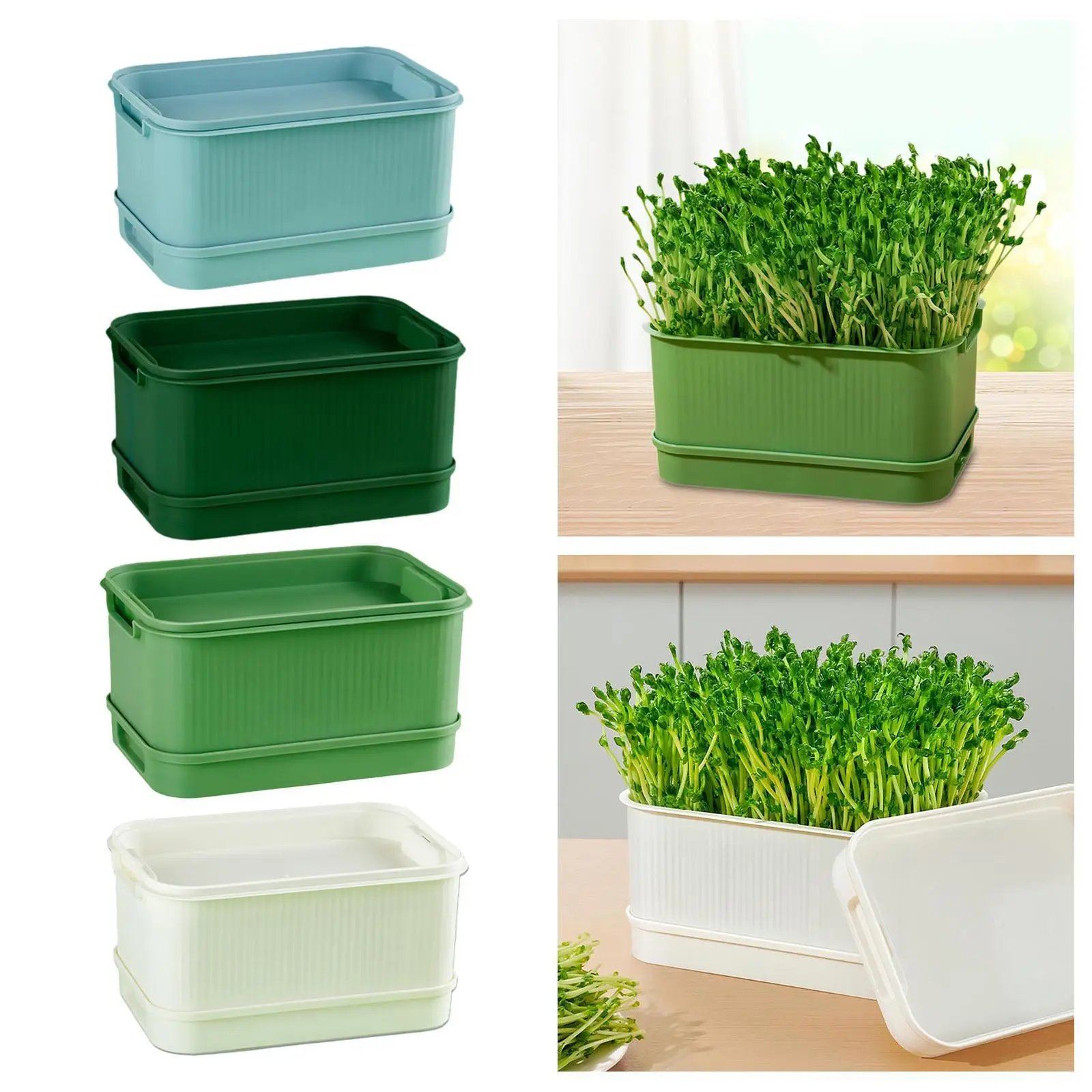 Sprouts Tray Mini Greenhouse Sprout Kits, Multifunctional Saving Space