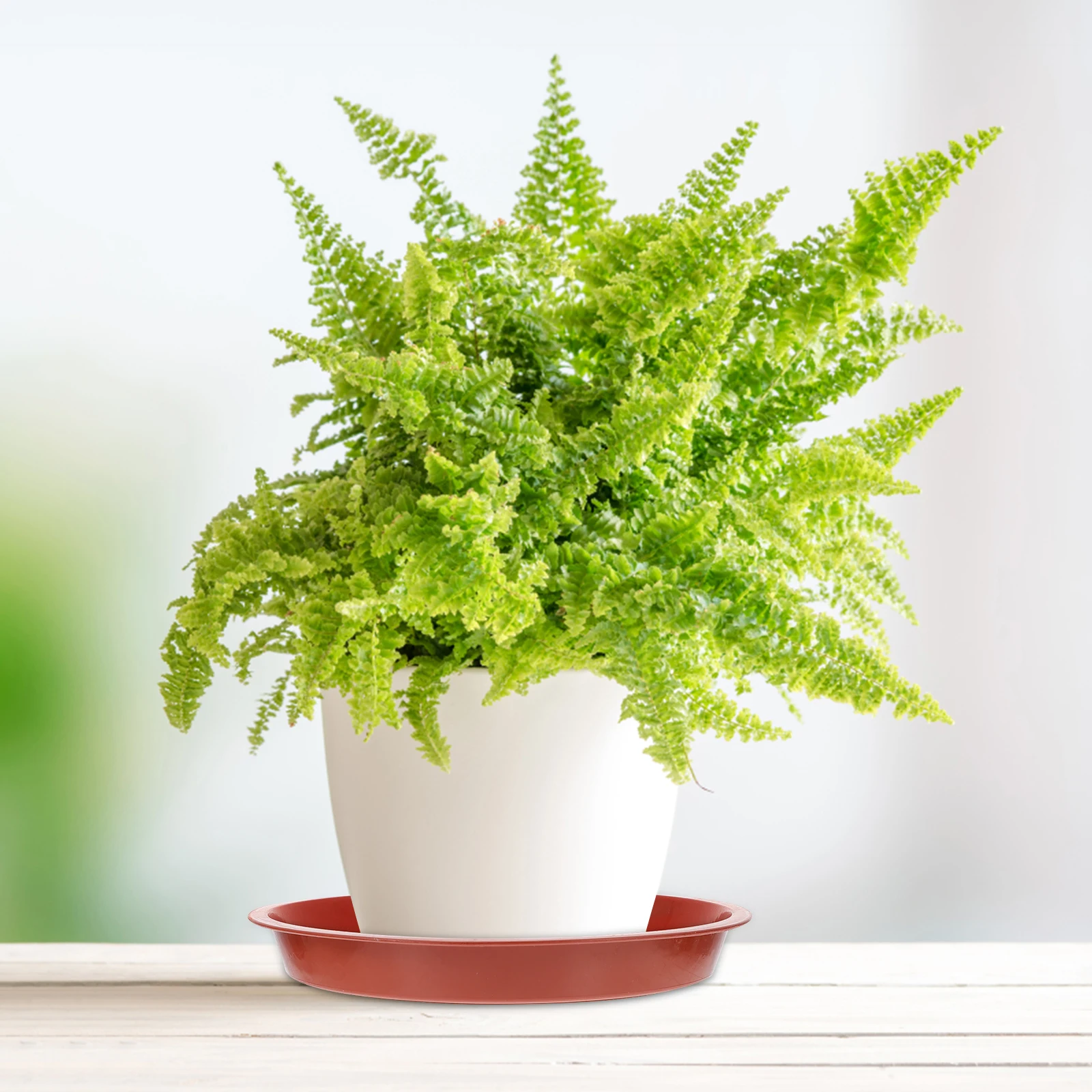 

Plastic Plant Trays Lightweight Durable Prevent Water Leak Square Container Gardening Accessories Reusable Flowerpot Bases