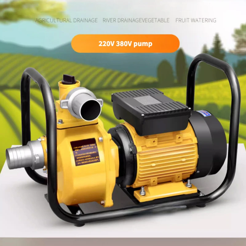 Agricultural Irrigation Water Pump Self Priming  Pump High Flow 75mm Caliber  Intake for Agricultural  220/380v