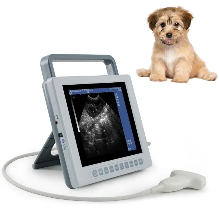 

Cheapest Medical Portable Ultrasound Machine Full Digital B Mode ultrasound Scanner Easy to Operate