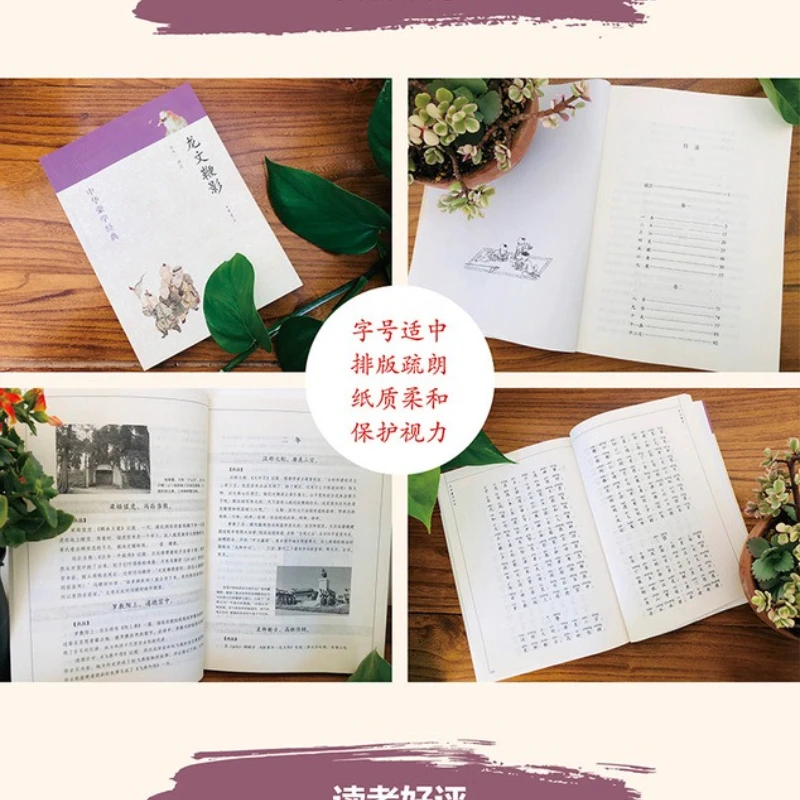 ظل سوط التنين، كلاسيكيات الشخصيات التاريخية الصينية، الروايات، كتب القراءة اللامنهجية والشعر