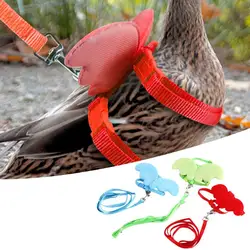 Chicken Little Angel Wings Harness Chest Strap Leash Set Traction Rope Duck Breast Strap Outing Pet Supplies Accessories