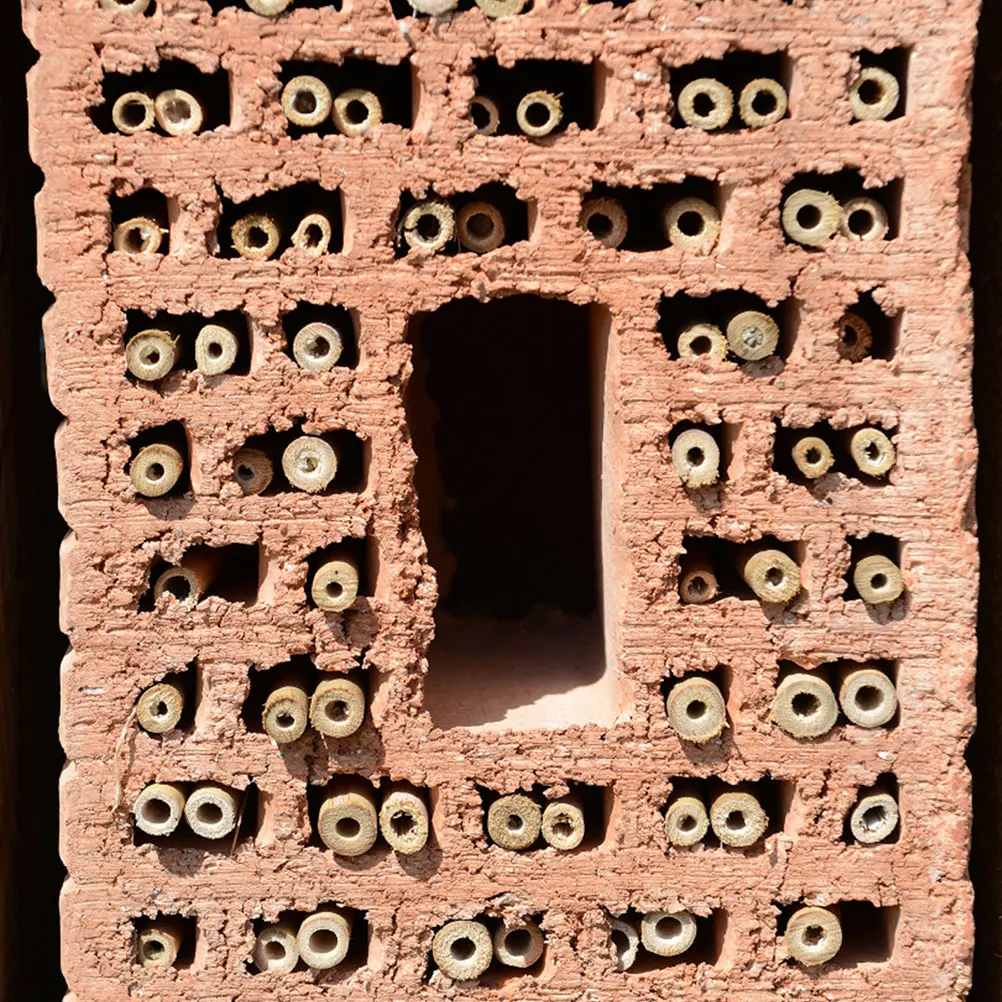 

40pcs Reed Bee Tubes 7 11mm for Beekeeping Nesting Pipe Refill Inserts Outdoor Bees Supplies Pet Insect Box Tools