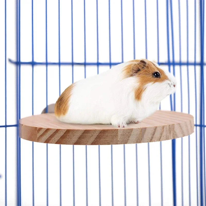 5Pcs/set Natural Wood Hamster Stand Platform Rat Activity Playground Chinchilla Cage Accessories with Washers for Birds O11 21