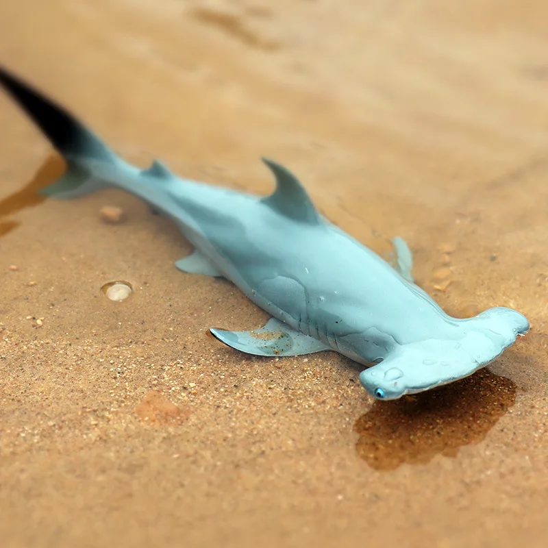 1Pcs Simulation Sale Sea Life  Animals Models Sharks Action Figures Toy Educational Collection Educational Toy for Children Gift