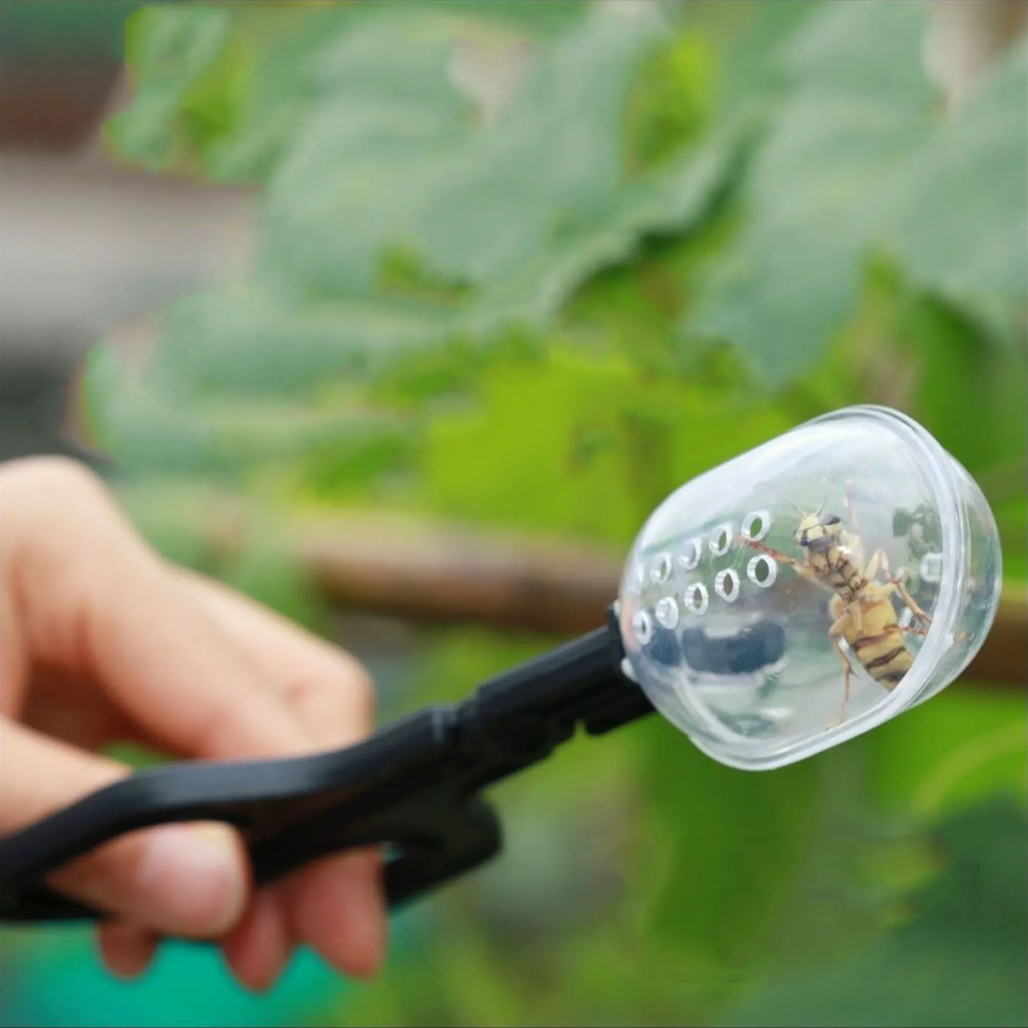 Portable Crawler Clip Insect Catcher Scissor Trap Transparent Clamp Tong Reptile Plastic for Indoor & Outdoor Garden Supplies