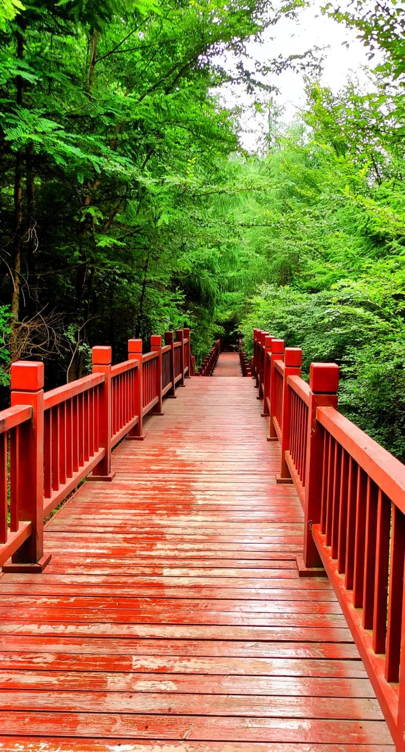 

Car GPS navigation Protective film LCD screen TPU film Screen protector Anti-scratch film fitting For KIA Sportage NQ5 2022-2023