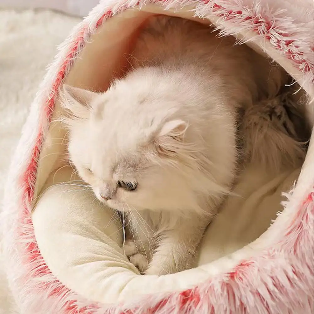 #14 Best Rated Cat Beds to Buy in 2026