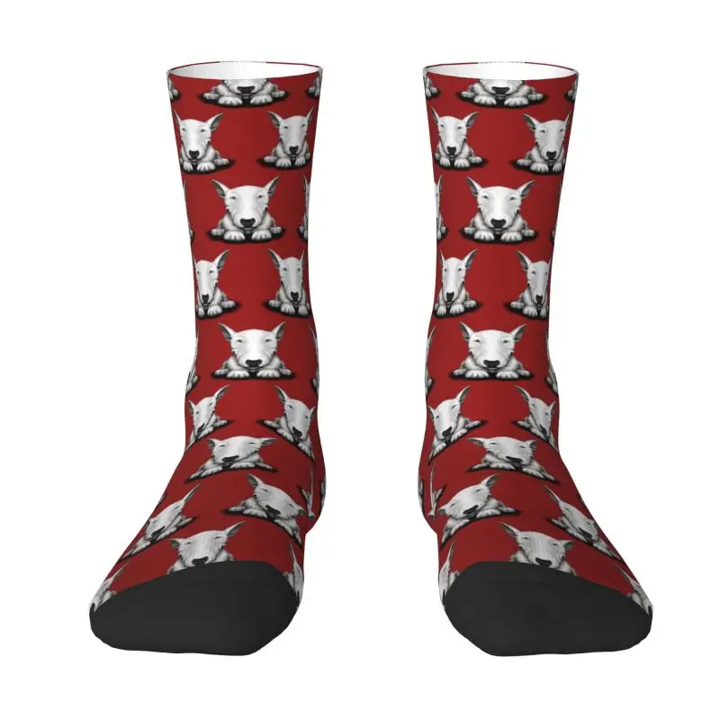 Fun Print English Bull Terrier Socks for Men Women Stretch Summer Autumn Winter Animal Pet Puppy Crew Socks