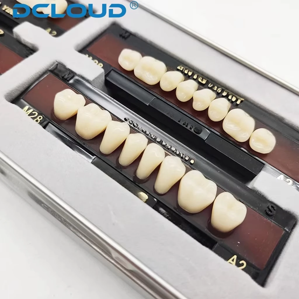 DCLOUD 28 Teile/schachtel Dental Harz Zahnersatz Vollen Satz Falsche Zähne Volle Mund Zahnersatz Oberen Unteren L/M/S Kunststoff Stahl Zahn A2 A3