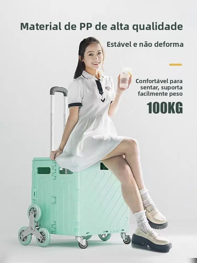 carrello-portatile-per-la-spesa-carrello-a-mano-piccolo-con-asta-in-lega-di-alluminio-e-corpo-in-plastica-per-uso-domestico