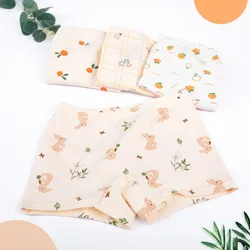 4PCS Girls Kids Cotton Soft Antibacterial Panties Baby Cute Print Knickers Thin Breathable Briefs 3+y Young Children Underwears