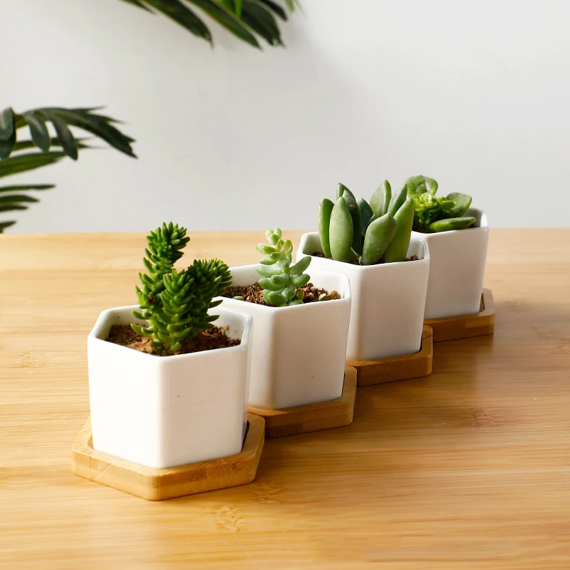 Ceramic Flowerpot White Hexagon Ceramic Pot With Tray European Flowerpot Simple Succulent Plant Container Small Bonsai Pots