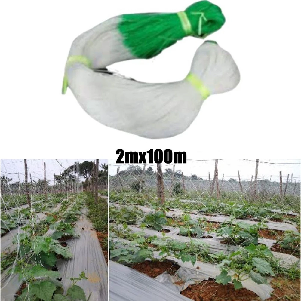 2M*100M Gardening Plant Crawling Net Cucumber Netting Jaring Timun Plant Support Net Plant Climbing Crawl Farm Gardening